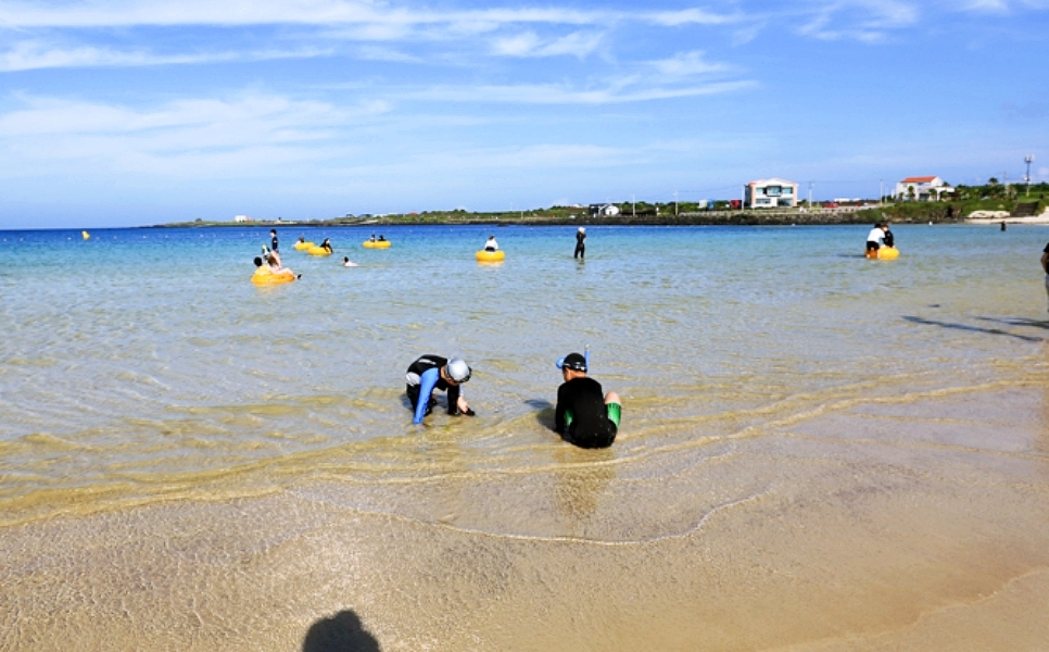 제주도 단독펜션 잔디밭에 애들 물놀이도 할 수 있는 곳 - 제주도숙소 - [제주선일] 제주도 여행 관광 여행코스 숙소 정보 가득 카페 제주도... 