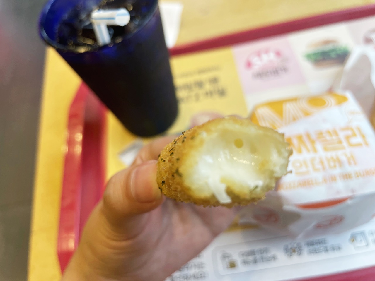 롯데리아제주아라점 이미지