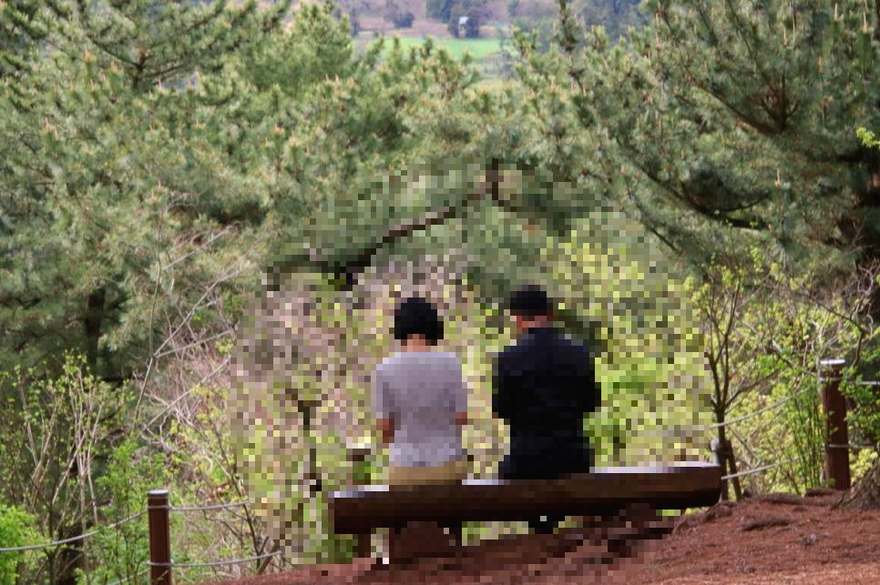 민오름 - (구)제주도여행 - [제주선일] 제주도 여행 관광 여행코스 숙소 정보 가득 카페 제주공항근처 산책하기 좋은곳 한라수목원과 민오름