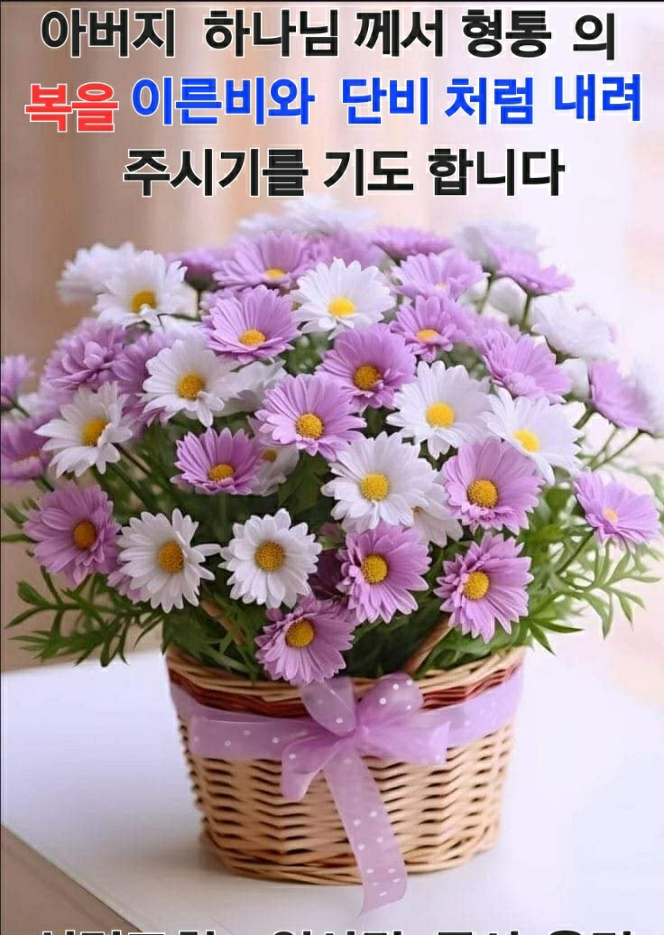 나눔과기쁨 이미지