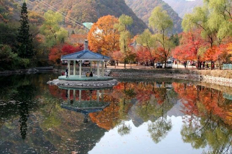 내장산식품 이미지
