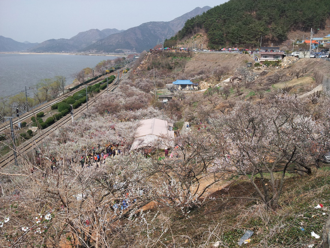 원동 이미지