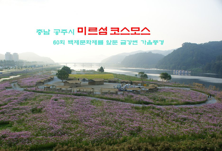 일오고속관광 이미지