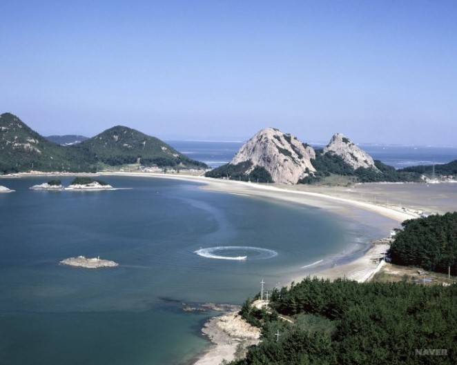 삼성공판장 이미지