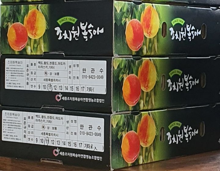 달빛농원 이미지