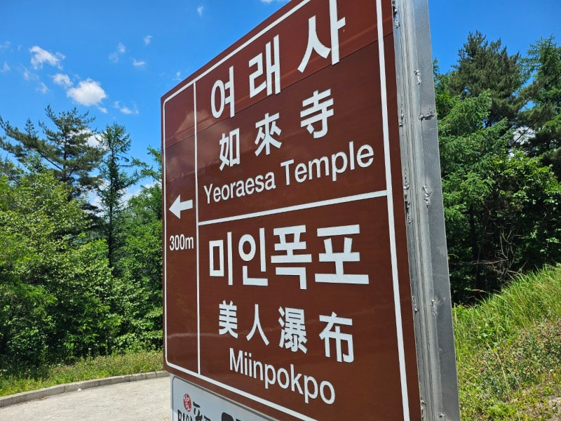 봉평메밀밭 이미지