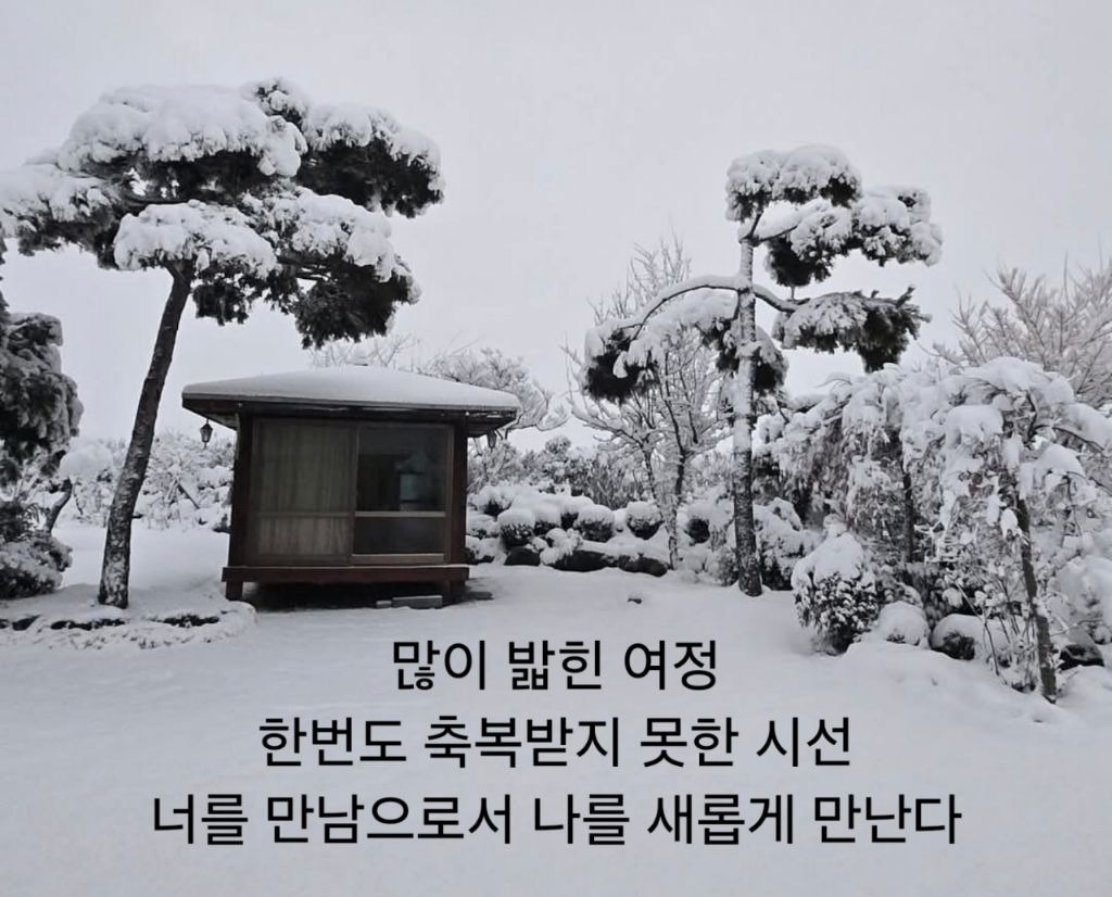 인생사진 이미지