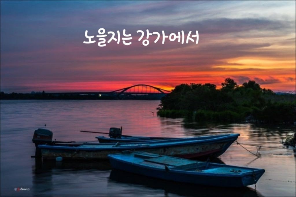 보세와차한잔 이미지