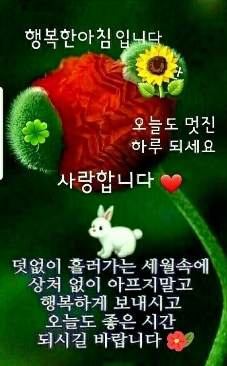 🌼좋은 인연 아름다운 삶~^^🌼 - 세상사는 이야기 - 🍃행복&동행🍂 🌼좋은 인연 아름다운 삶~^^🌼
