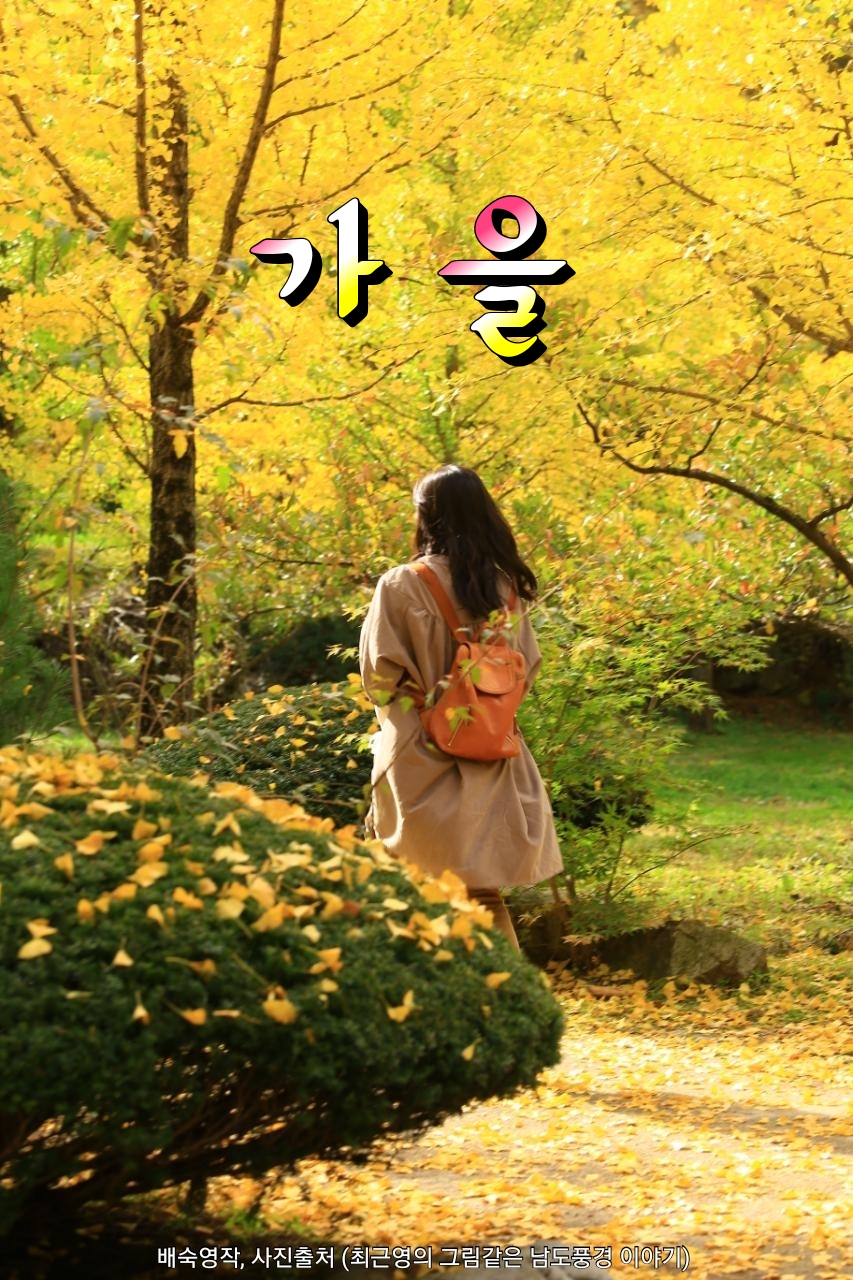 가을 이미지