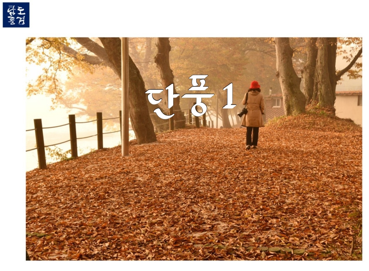 비우고채우는숲 이미지