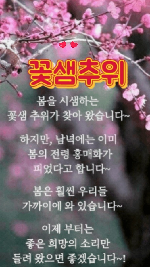 홍랑 이미지