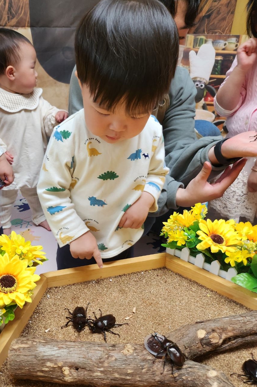 장수선인장 이미지