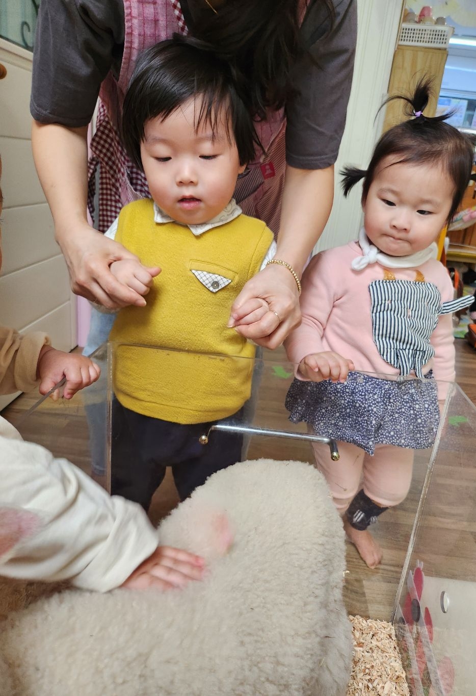 장수선인장 이미지