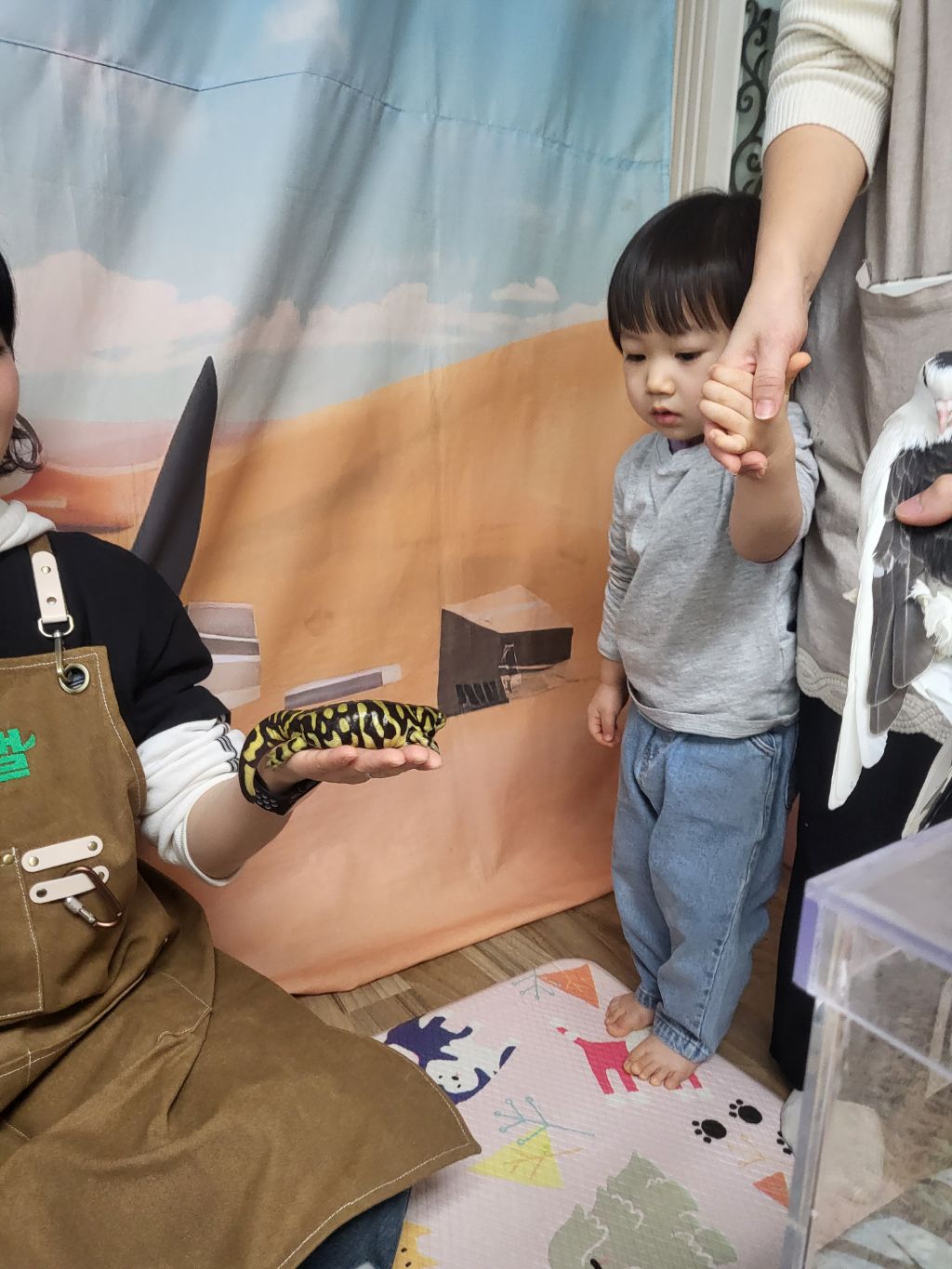 쥬니멀 이미지