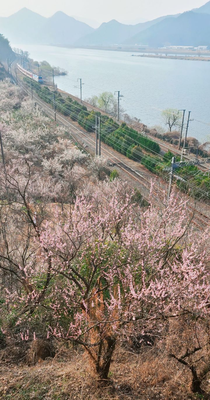 원동 이미지