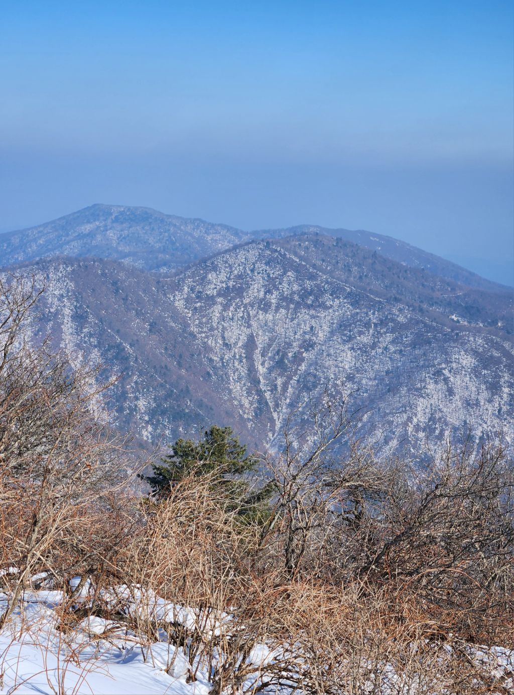 오대산 이미지