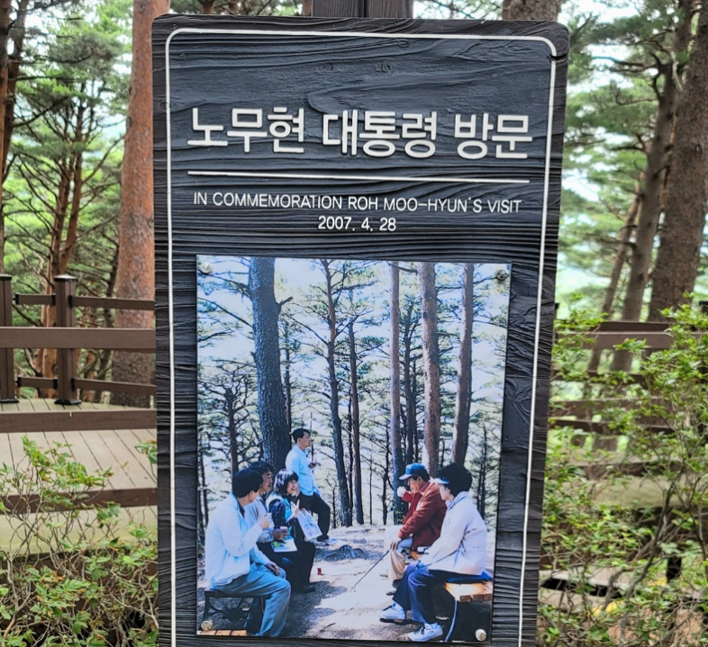 소나무숲길 이미지