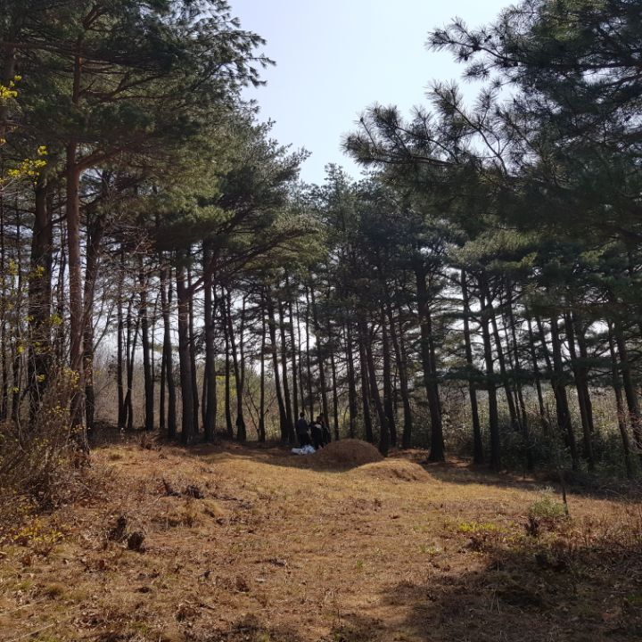 한식9 이미지
