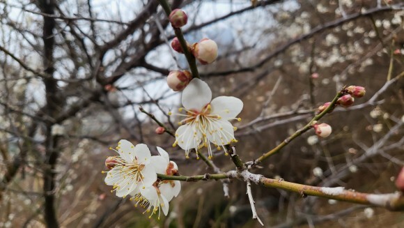 세컨드브레인 이미지