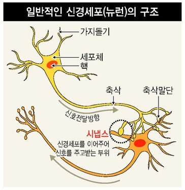 디자인시냅스 이미지
