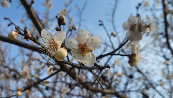 세컨드브레인 이미지