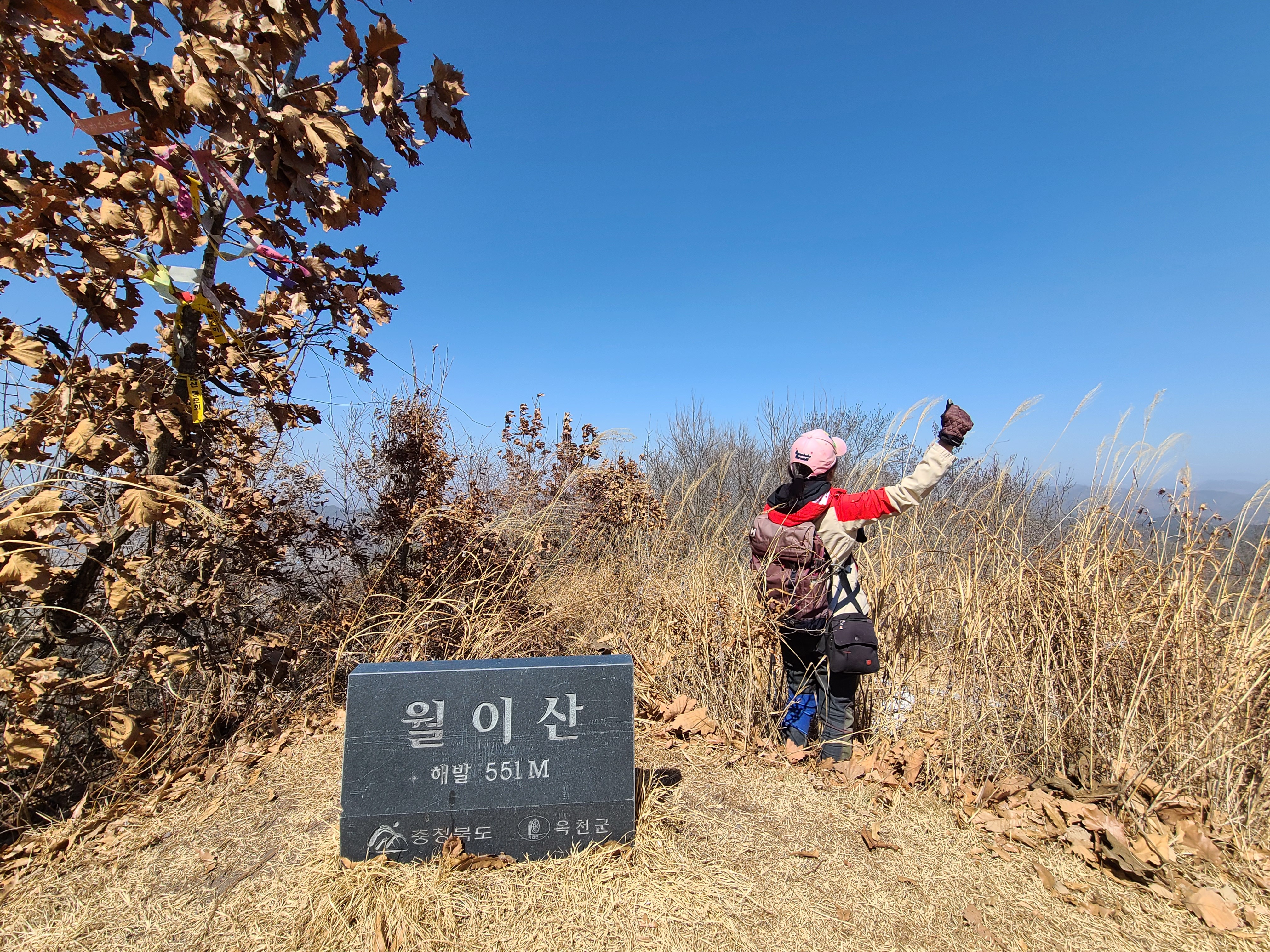 달이산(월이산) 이미지