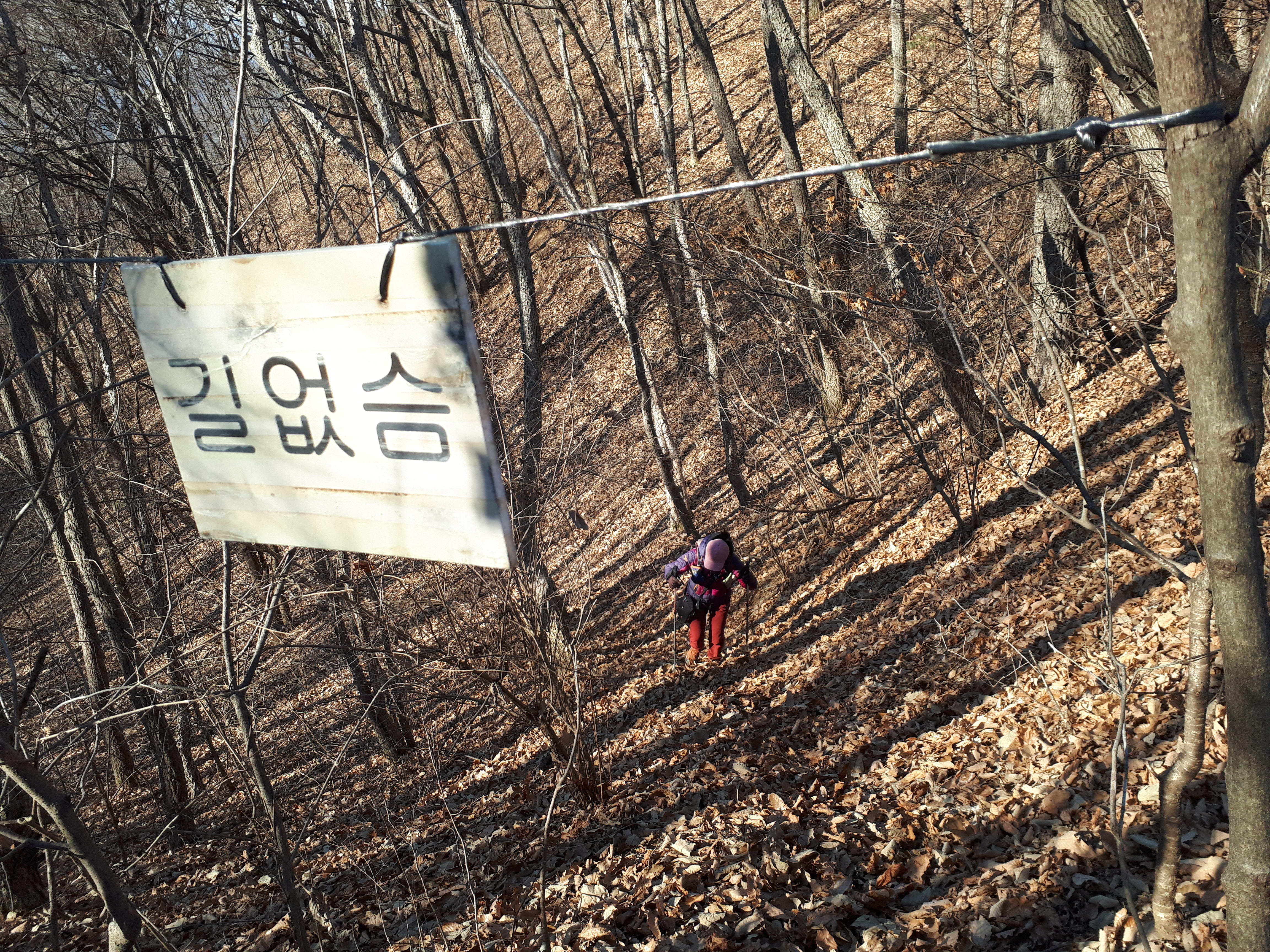 왕터산 이미지