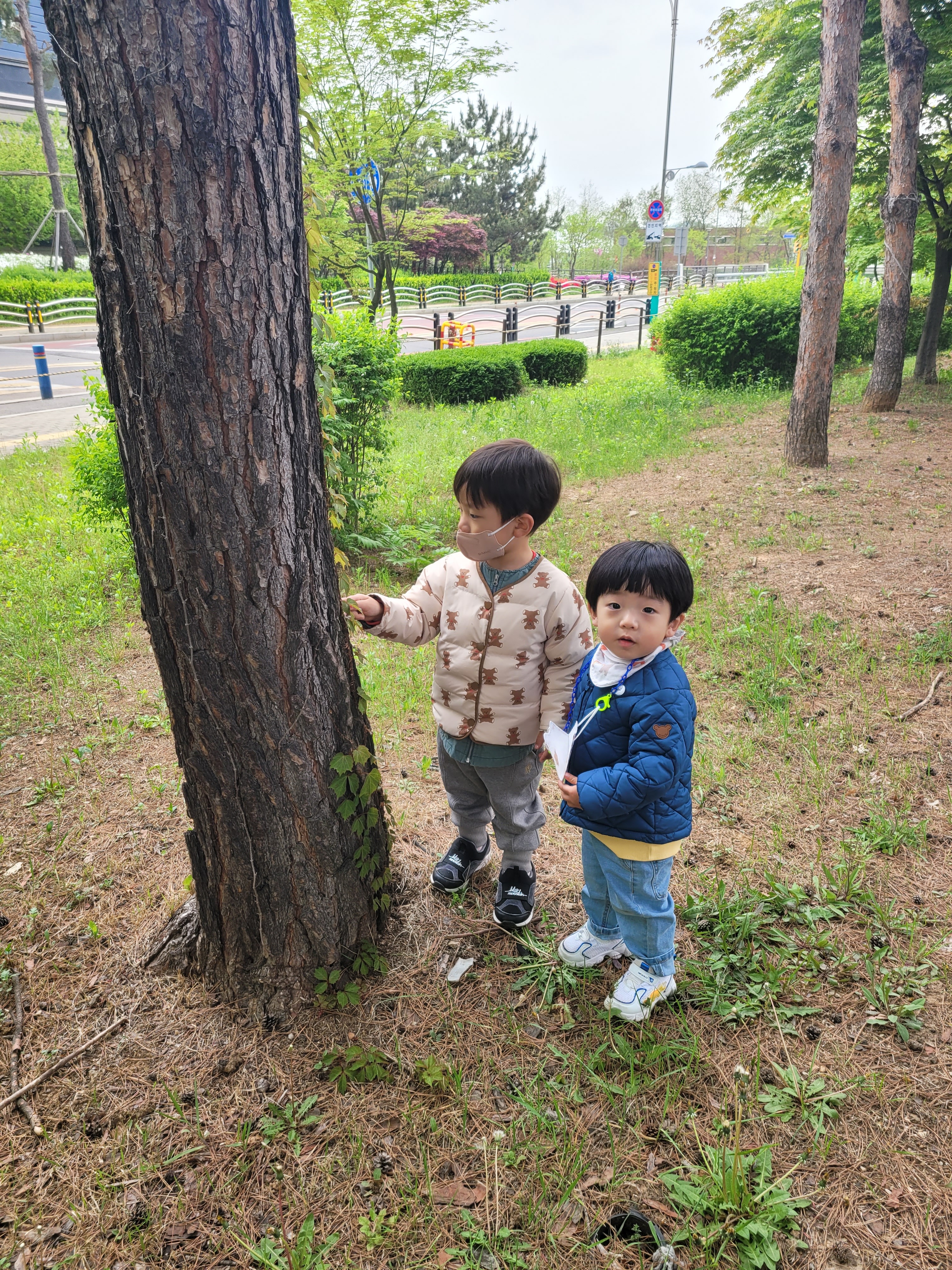 서창엔젤숲어린이집 이미지