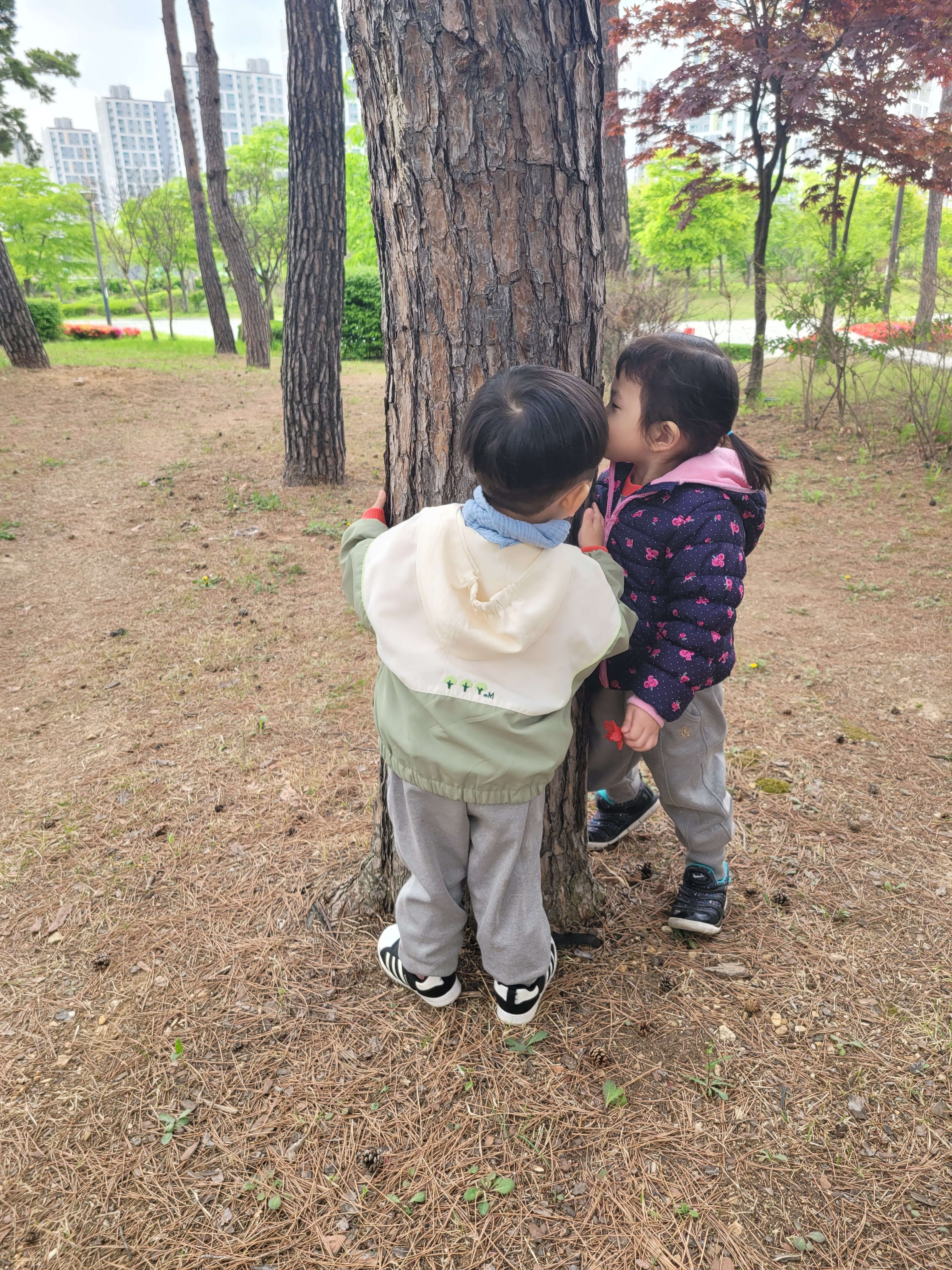 서창엔젤숲어린이집 이미지