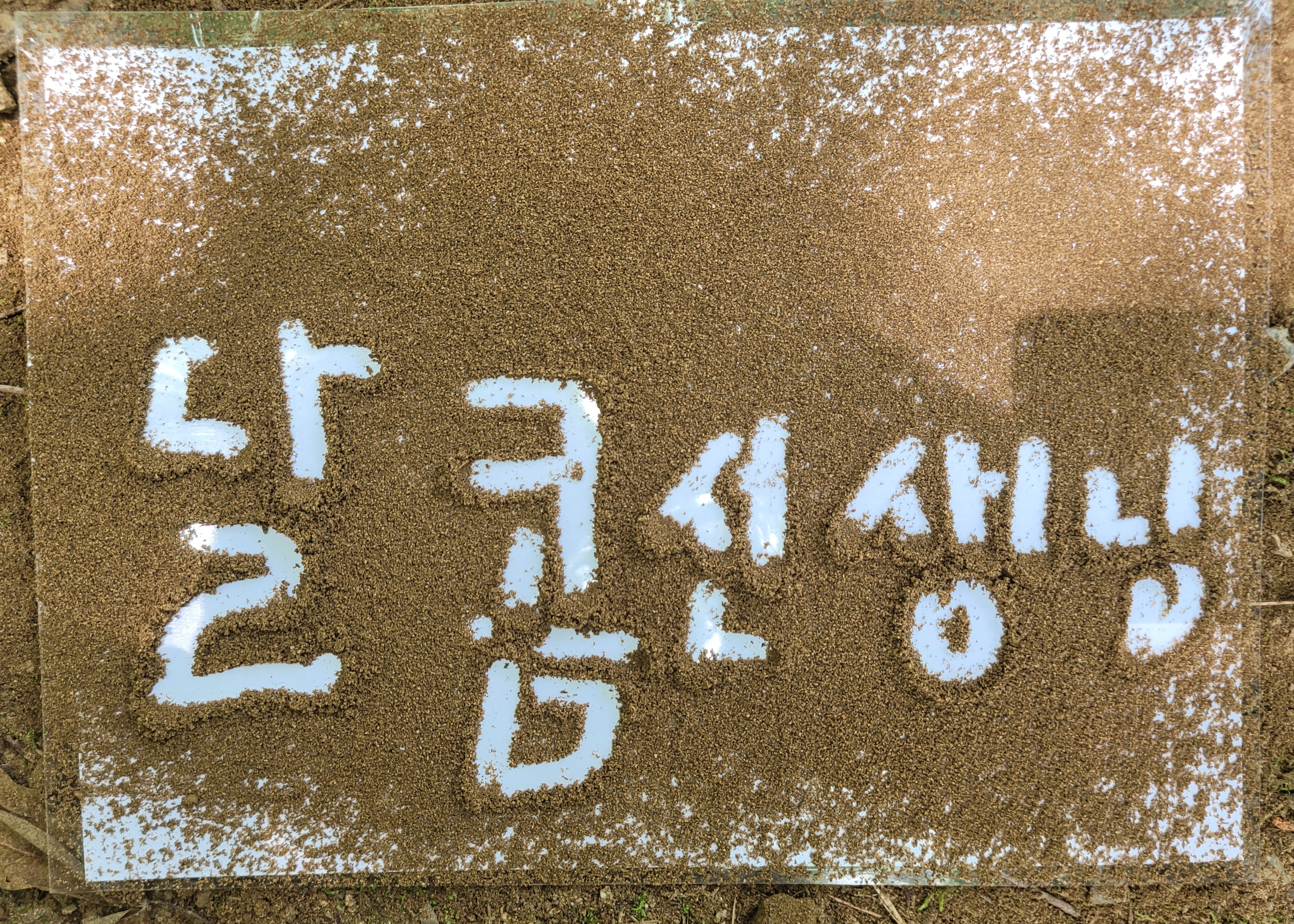 순복음어린이집 이미지