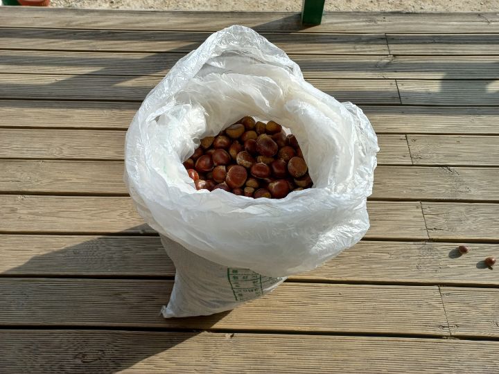 가고파농장 이미지