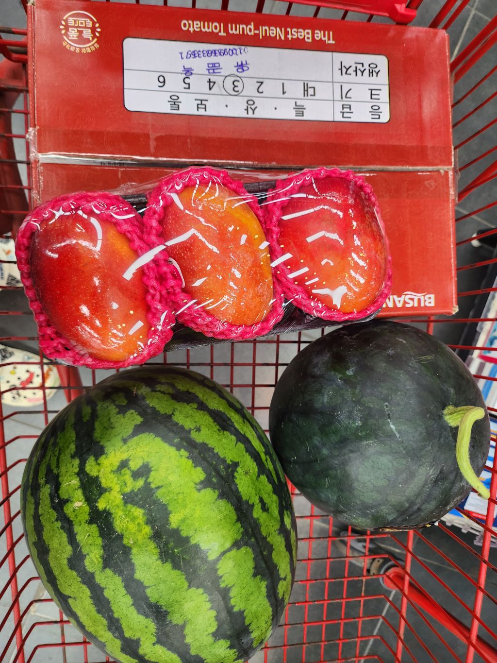 영마트 이미지