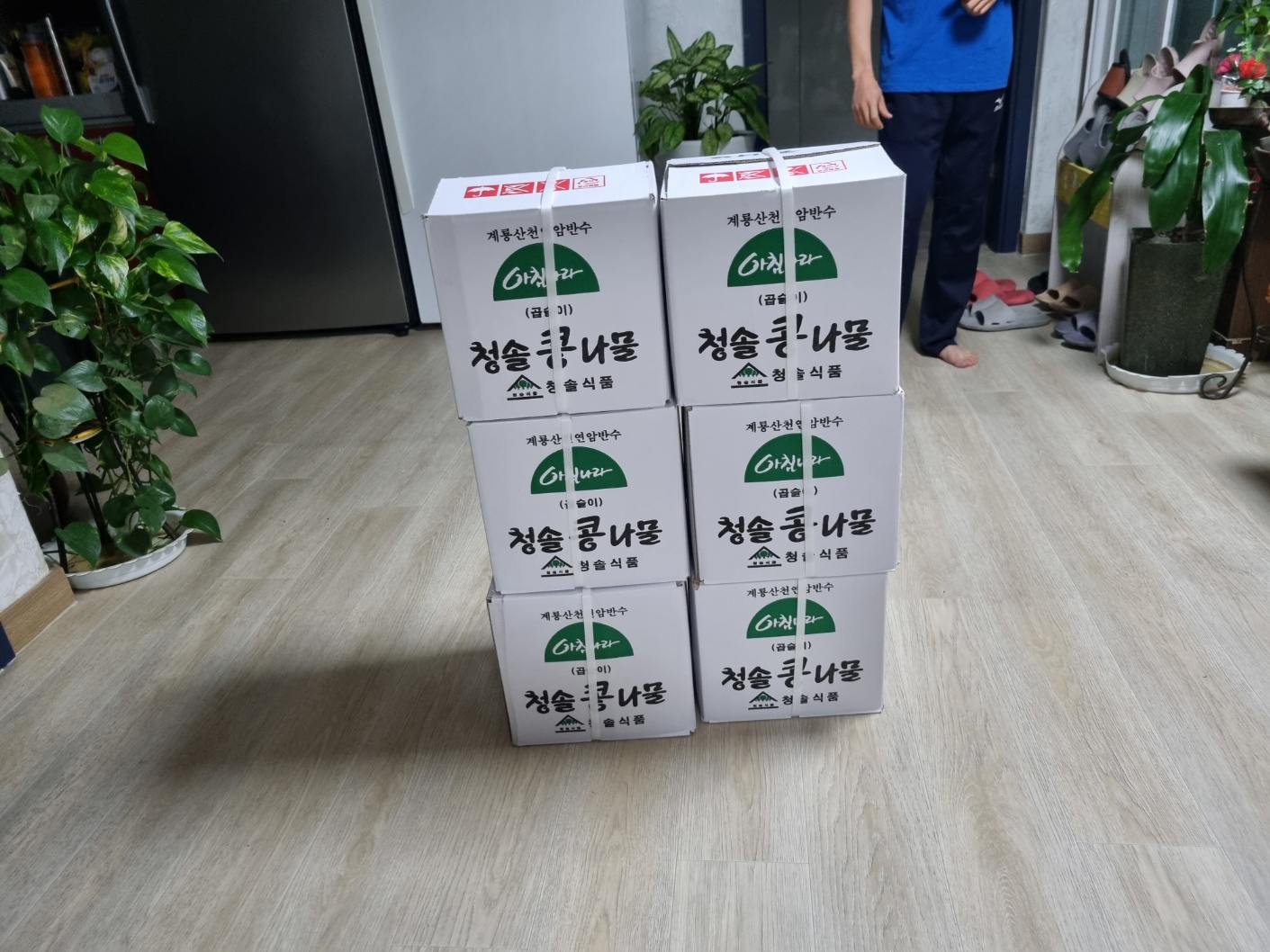 이래향 이미지