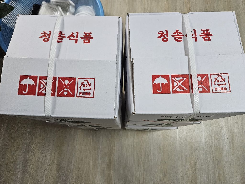 이래향 이미지
