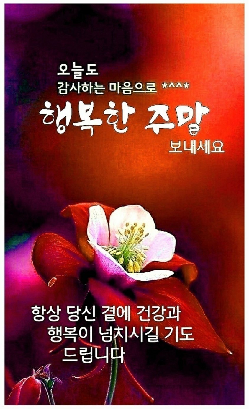 똘똘이막창 이미지