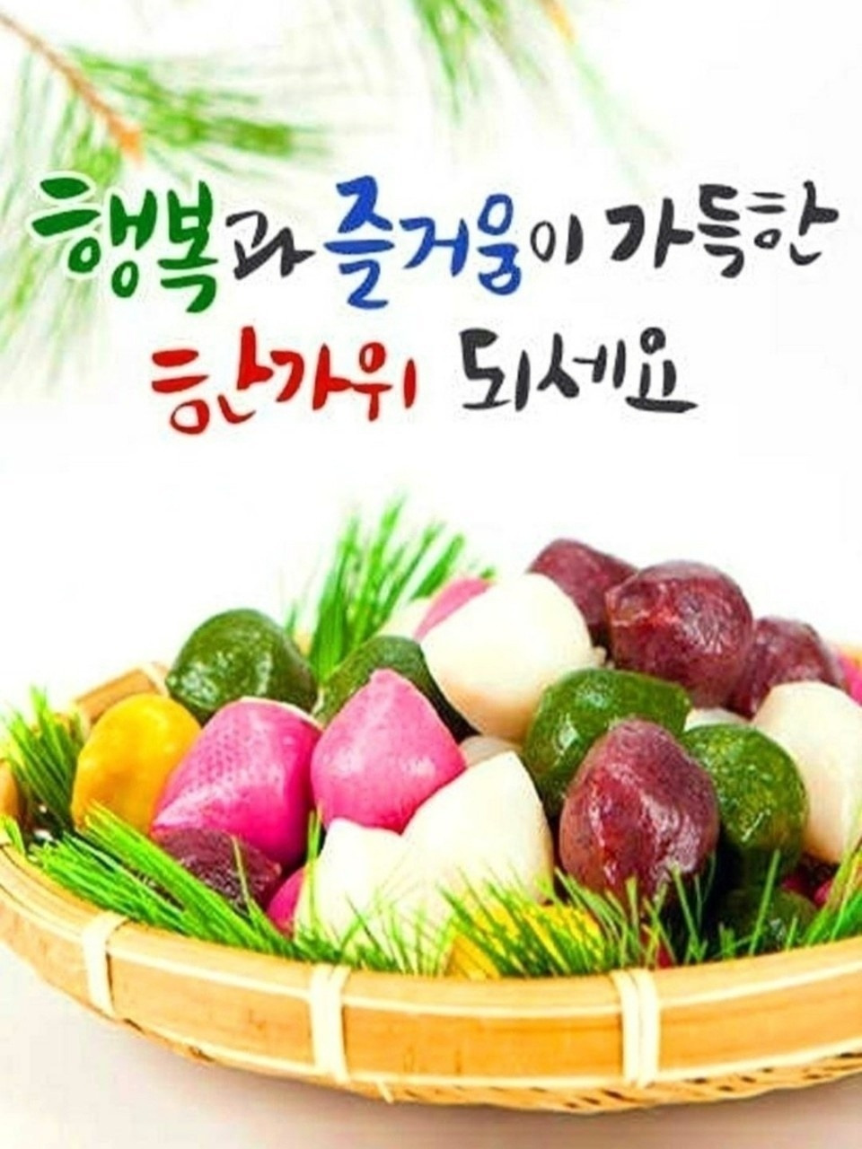송이횟집 이미지