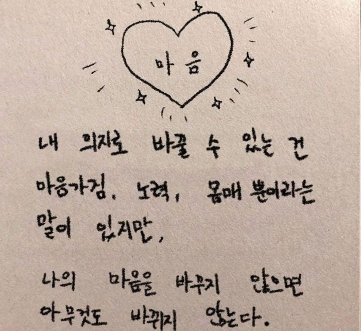 키즈몽 이미지