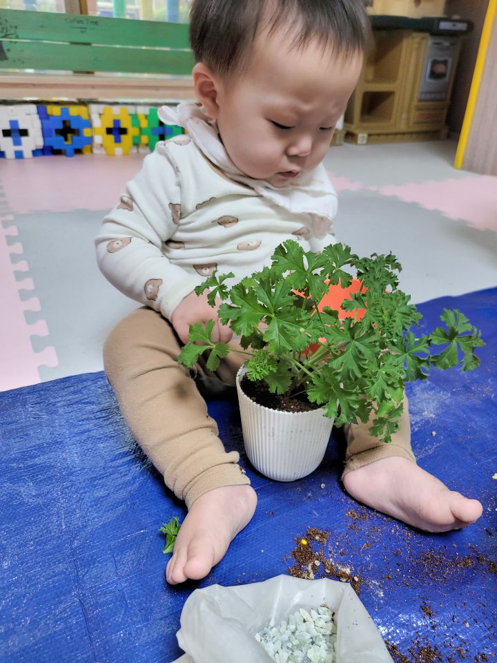 키즈몽 이미지