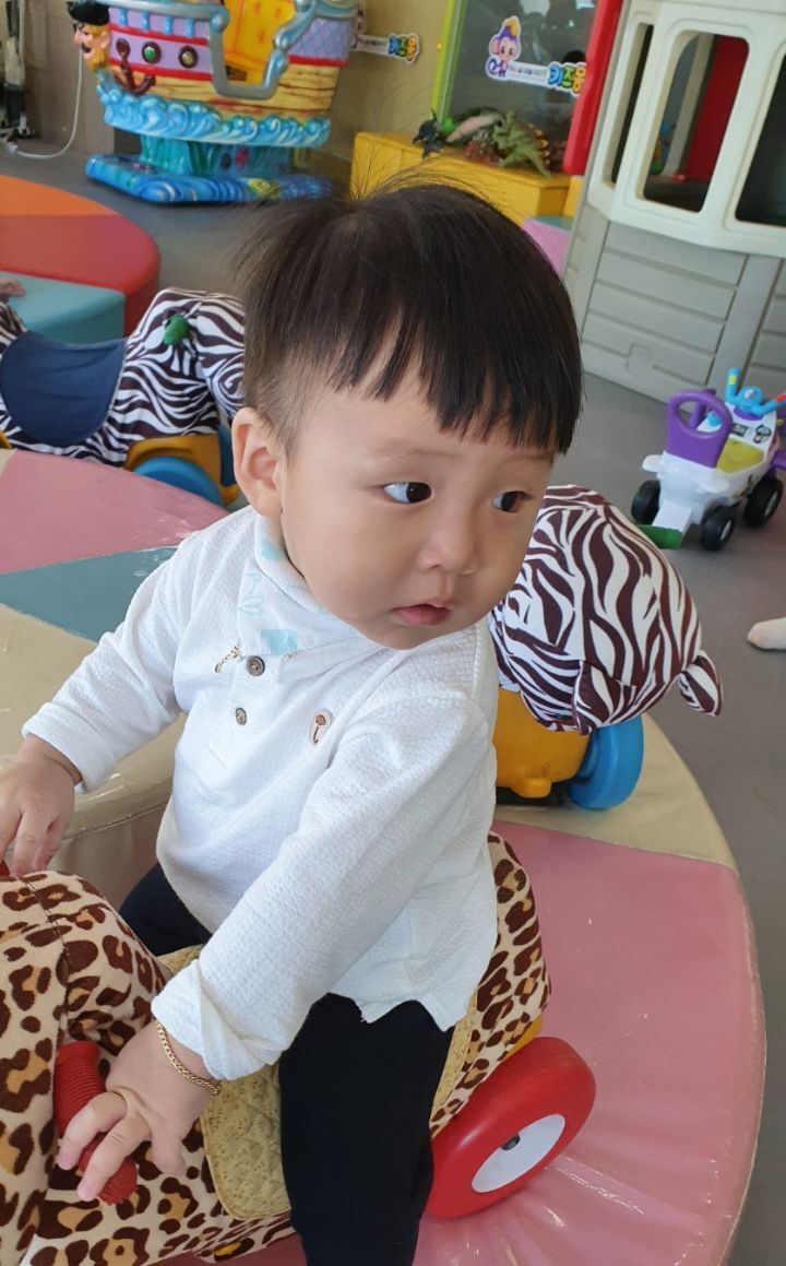 새로운가 이미지