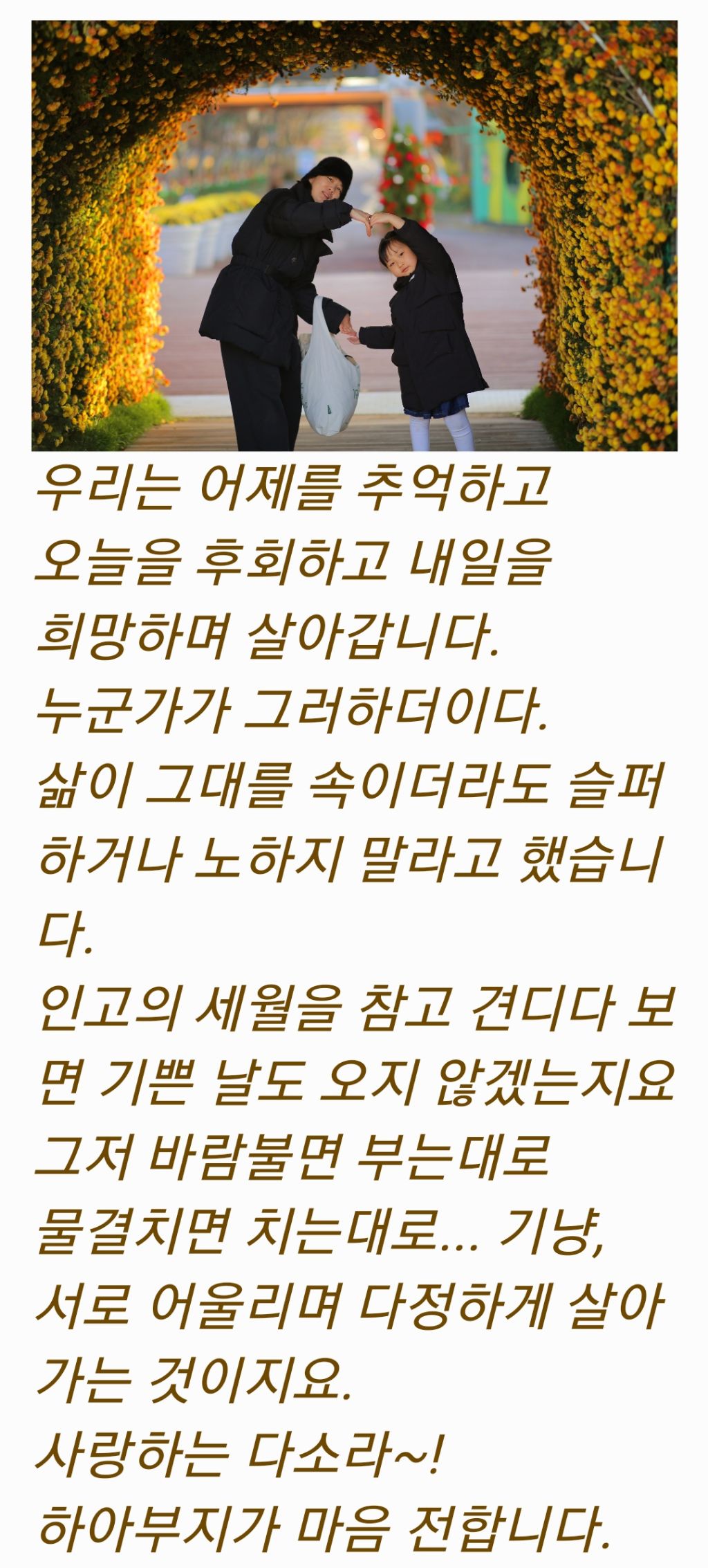 인고고 이미지
