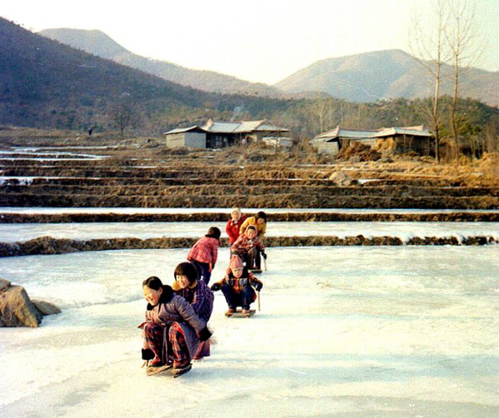 술시 이미지