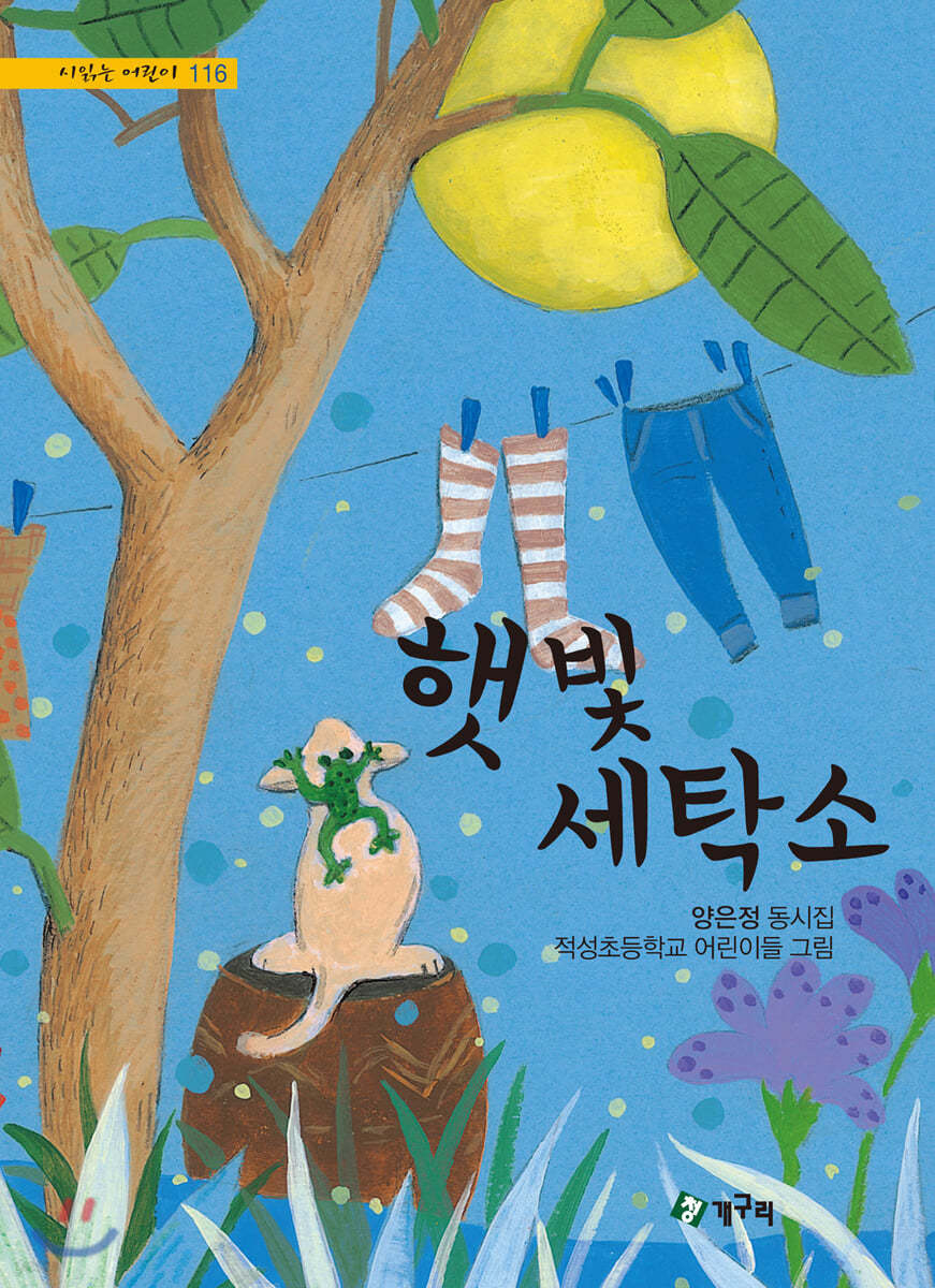 햇빛세탁소 이미지