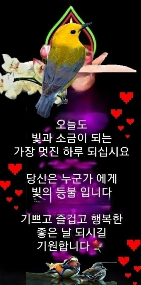 매듭 이미지