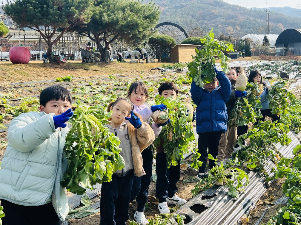 바다의별 이미지