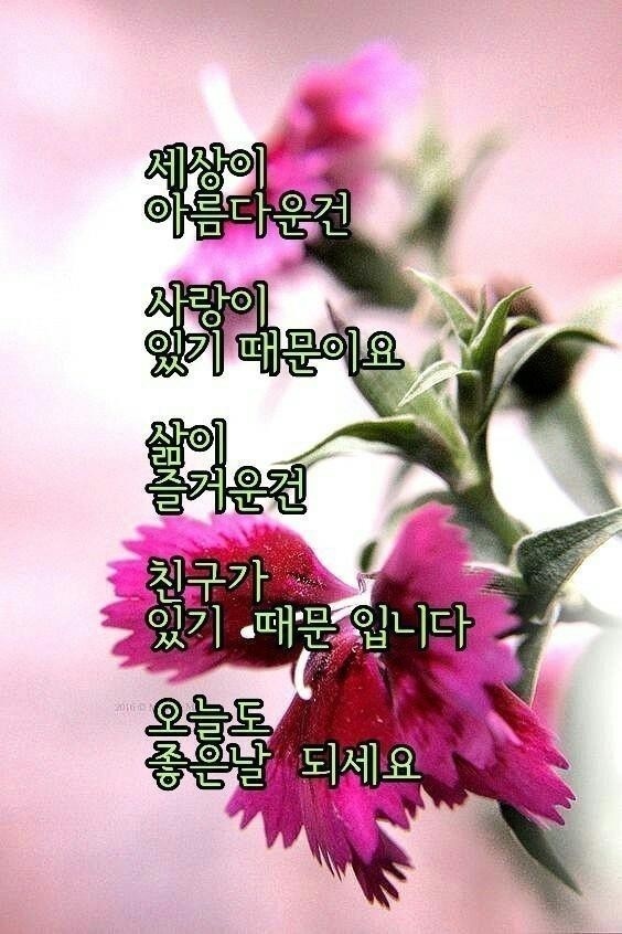 부할절ㅡ예수 그리스도의 부활을 ㅡ기념하는 기독교의 축일ㅡ청명 오늘은 청명 입니다ㅡ - 경운아에 사랑방 - 서울산이조아 부할절ㅡ예수... 