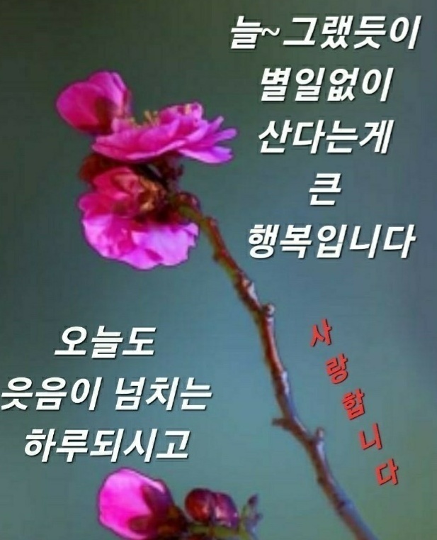 (주)일보람 이미지