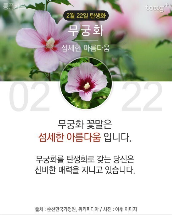 당신이 태어난 날엔ㅡ1월 ~3월 ㅡ무슨 꽃이 피었나요?1ㅡ태어난달과 날자ㅡ날자별 탄생화 꽃말 ㅡ 흰색은 행복한 본성ㅡ자주색은 첫사랑ㅡ... 