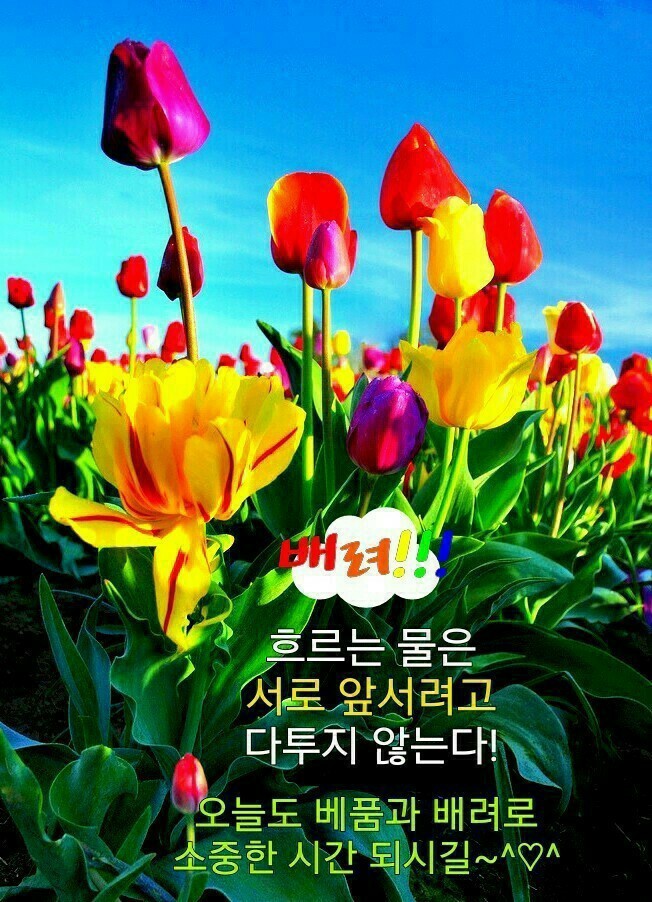 좋은아침 ㅡ최고로 좋은날ㅡ아름다운 이미지ㅡ노래한곡 올립니다... 서울산이조아 좋은아침 ㅡ최고로 좋은날ㅡ아름다운 이미지ㅡ노래한곡... 