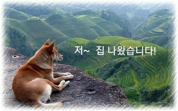 굿모닝해피데이 이미지